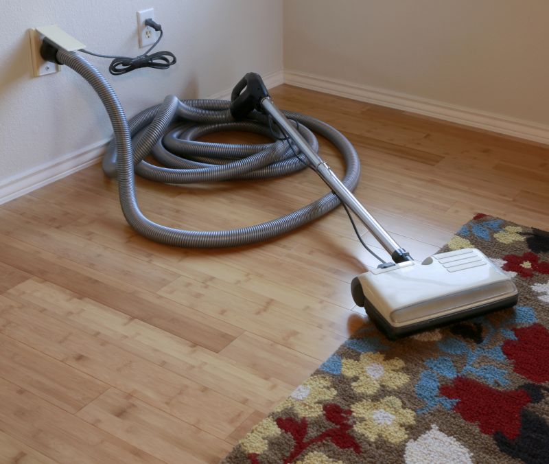 Basement Vacuuming