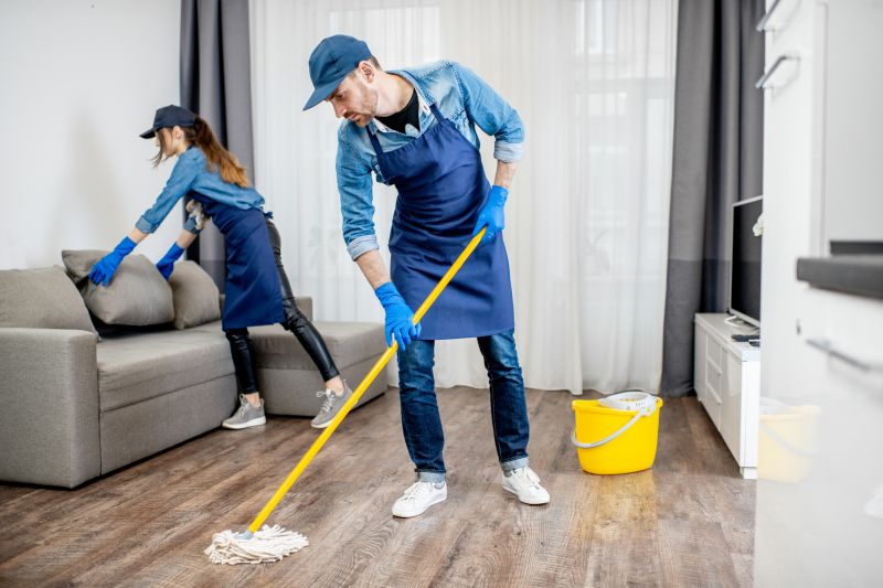 Apartment Cleaning Service detail