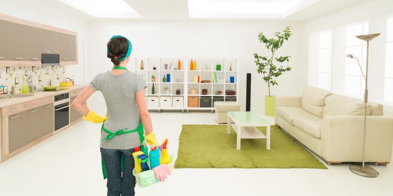 Move In Cleaning Service detail