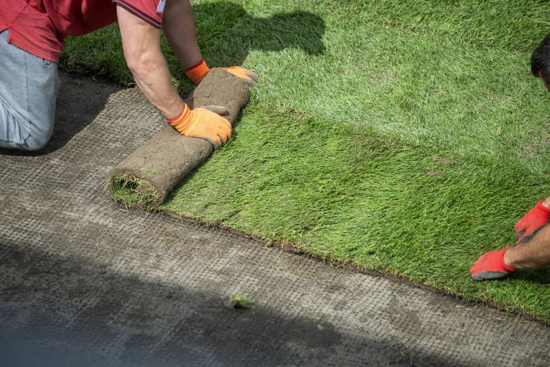 Sod Laying Service