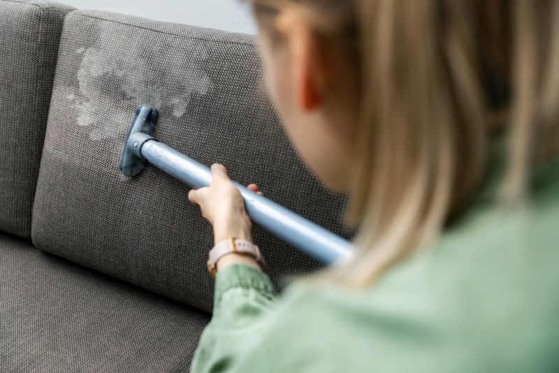 Sofa Cleaning